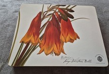 The Garden Table Placemats Set