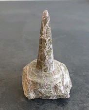 Cornish serpentine polished - cornish,