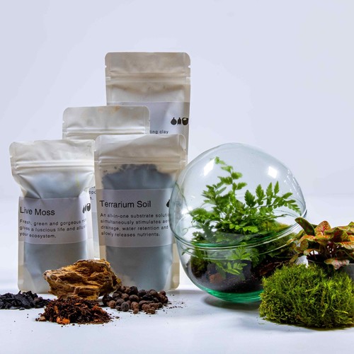 Terrarium kit mini orb - terrarium,