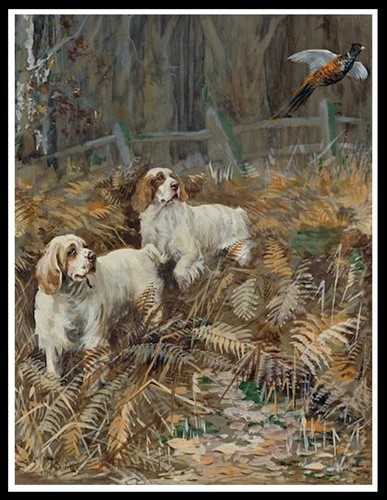 Clumber spaniel and pheasant - spaniel,