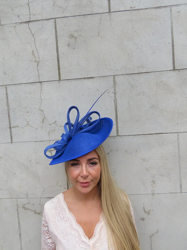 Large royal blue - blue, feather