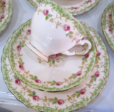 VERY RARE, TUSCAN PLANT, ,MINT