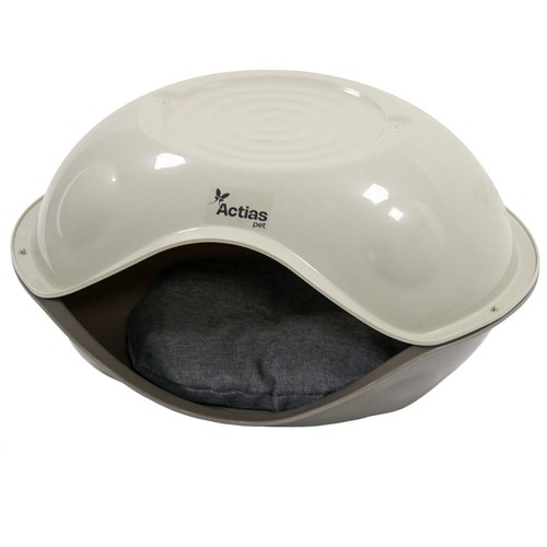 Cat kitten pet house - cat,