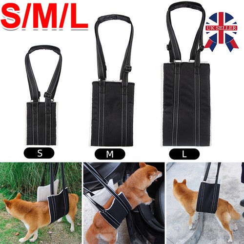 Pet dog mobility aids - dog, support