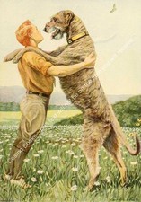 BOOK OF DOGS 1919 - IRISH