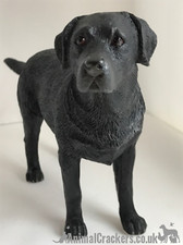 Black labrador ornament - black,