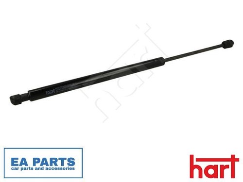 Gas spring boot - gas, area