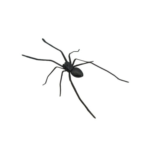 Realistic spider magnet for - spider,