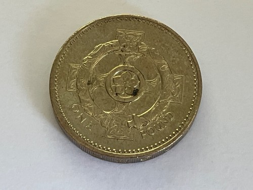 Simply coins one pound coin - coins, 1