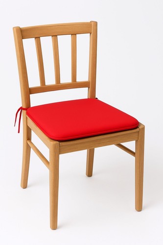 Waterproof seat pads with - seat, ties