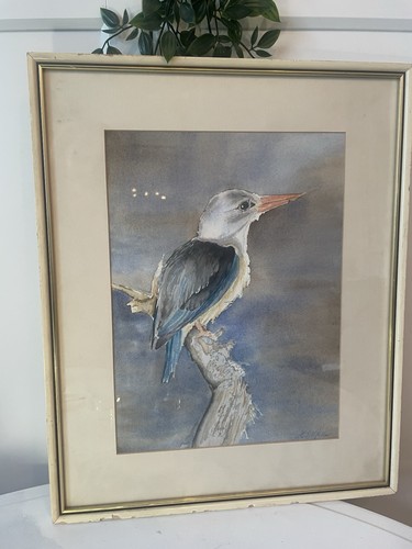 Vintage kingfisher bird - vintage,