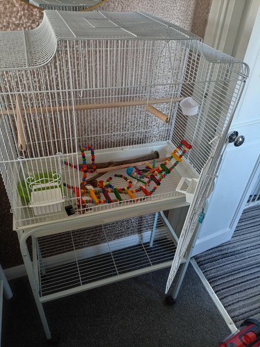 White metal bird - metal, cage