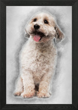 Cross breed dog 8 years ol