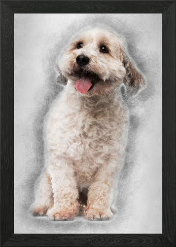 Cross breed dog years ol - breed,