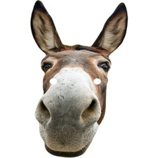 Donkey Narrow Animal Celebrity Card Face Mask  - Fancy Dress - Ready To Wear