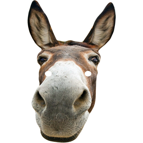 Donkey narrow animal - donkey, celebrity