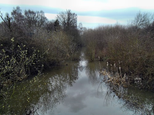 Photo 12x8 spring - photo, to