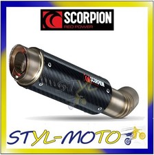 Scorpion RP-1 GP Carbon Exhaust End Silencer BMW S1000RR 2010