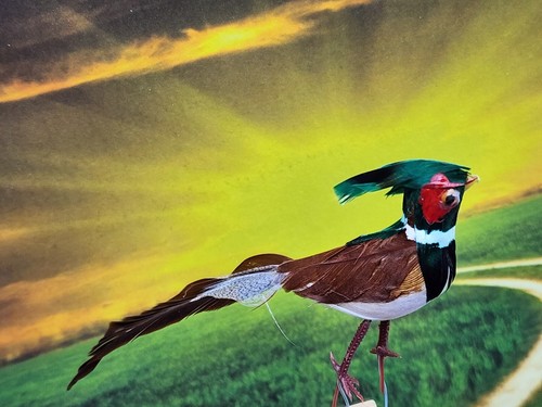 Vintage feathered pheasant - feathered,