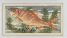 1934 Player's Fresh-Water