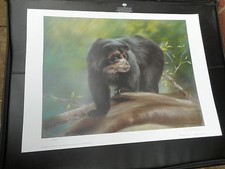 JOEL KIRK LARGE LIMITED EDITION PRINT BLACK GRIZZLY BEAR 2 VGC LOW POST 