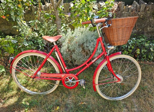 Pashley britannia bike 26in - pashley,