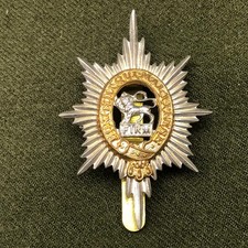British Army Cap Badge - Worcestershire Regiment