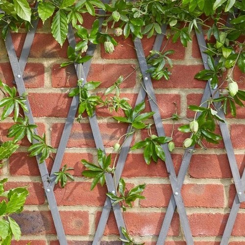 Garden wooden trellis - 1.8m,