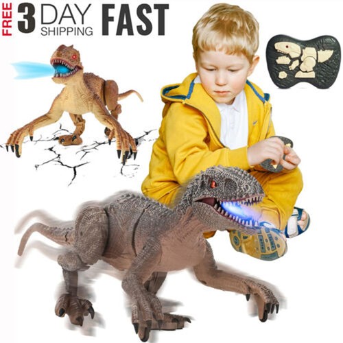 Remote control dinosaur - remote,