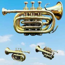 Antique brass pocket - brass, bb