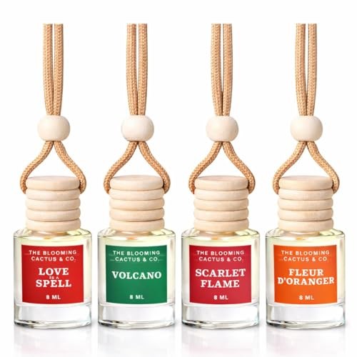 Hanging car air freshener - hanging,