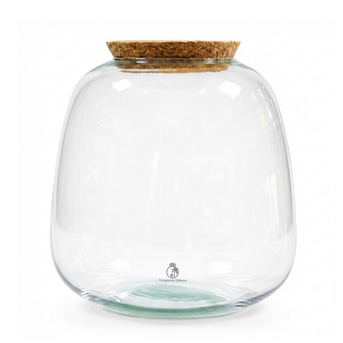 Bulb glass terrarium - glass, cm
