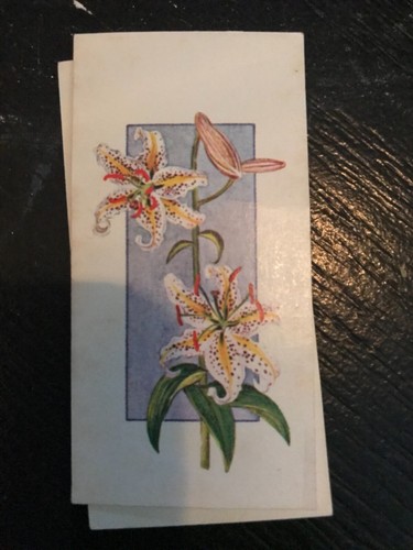 Flowers all the year - , round