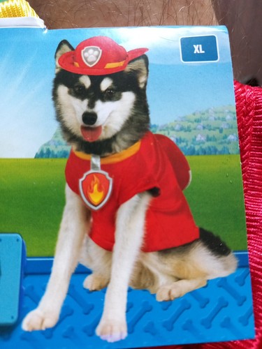 Paw patrol marshall - paw,