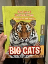 Big Cats by Anne O'Daly (2020