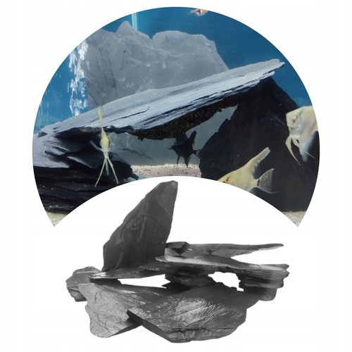 Aquarium slate fish - aquarium, rock