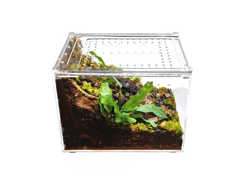 Herpcult acrylic reptile - herpcult,