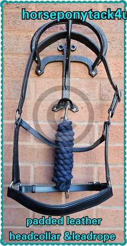 Free leadrope worth 99 - leadrope, 7.99