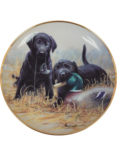 Franklin mint collectible - franklin,