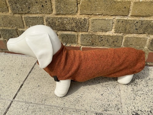 Mini dachshund small dog 100 - mini, 100%