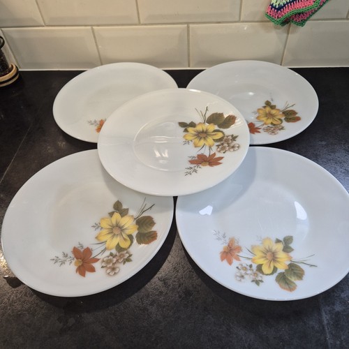 Jaj pyrex autumn glory - 4,
