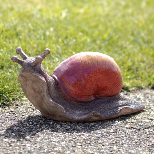 Colourful snail garden - colourful,