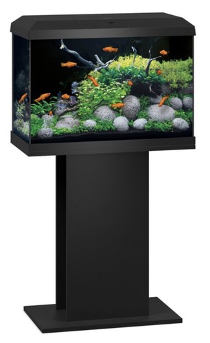 Juwel aquarium 80cm 35cm - 80cm, x