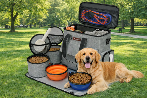 Airline approved dog pet - airline,