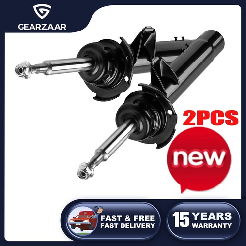 Gas shock absorber - absorber, twin