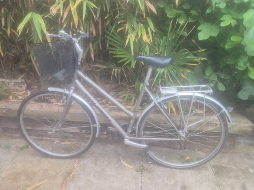 Raleigh pioneer womens bike