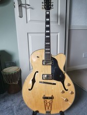 Richwood Artist Series, Semi Acoustic Jazz style Guitar, Stunning Looking