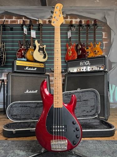 Ernie ball musicman - ball, stingray