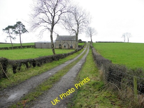 Photo 6x4 lane tannaghlane - 6x4,