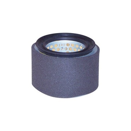 Air filter fits lombardini - filter,
